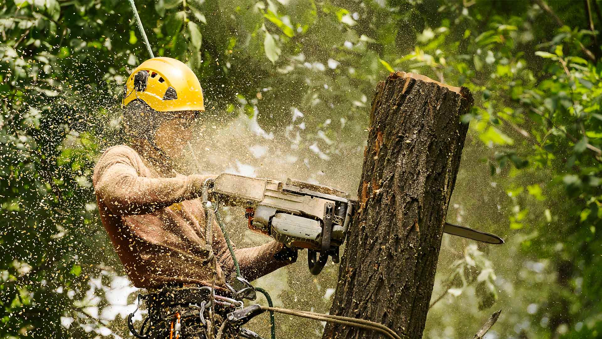  Speedy Pros Beanies for Men Lumberjack Logger Saw